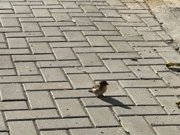 144-30-12-2025 IMG_3328